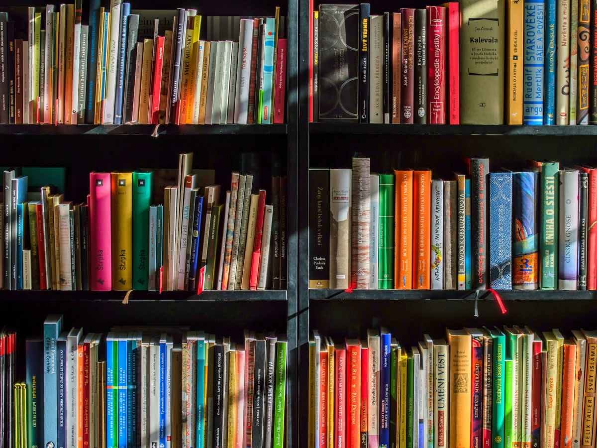 ‘Six Picks’ holiday book shopping: Books about Newport
