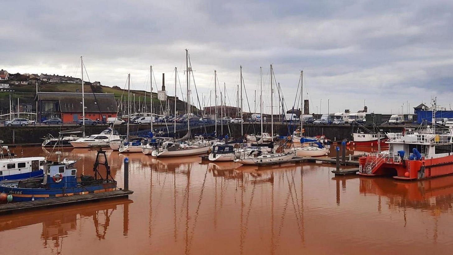 About two-dozen boats are parked up in the harbour. They are connected by a wooden jetty and stairs lead up to the carpark beside it. The water is dark orange. About two-dozen boats are parked up in the harbour. They are connected by a wooden jetty and stairs lead up to the carpark beside it. The water is dark orange.