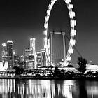 Hoppe: Τα βήματα προς την πλήρη αποκρατικοποίηση της κοινωνίας, μέρος 1ο 