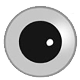 Yuck! Travel Magazine