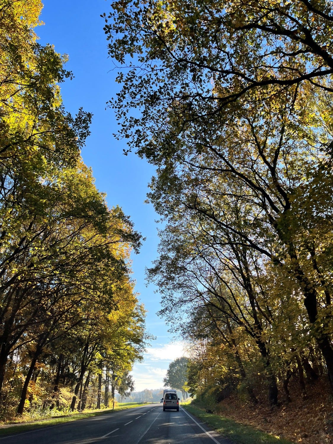 No alt text provided for this image