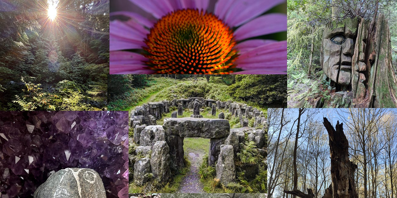 Applied Animism : Rooting Culture, Earth and Spirit 
