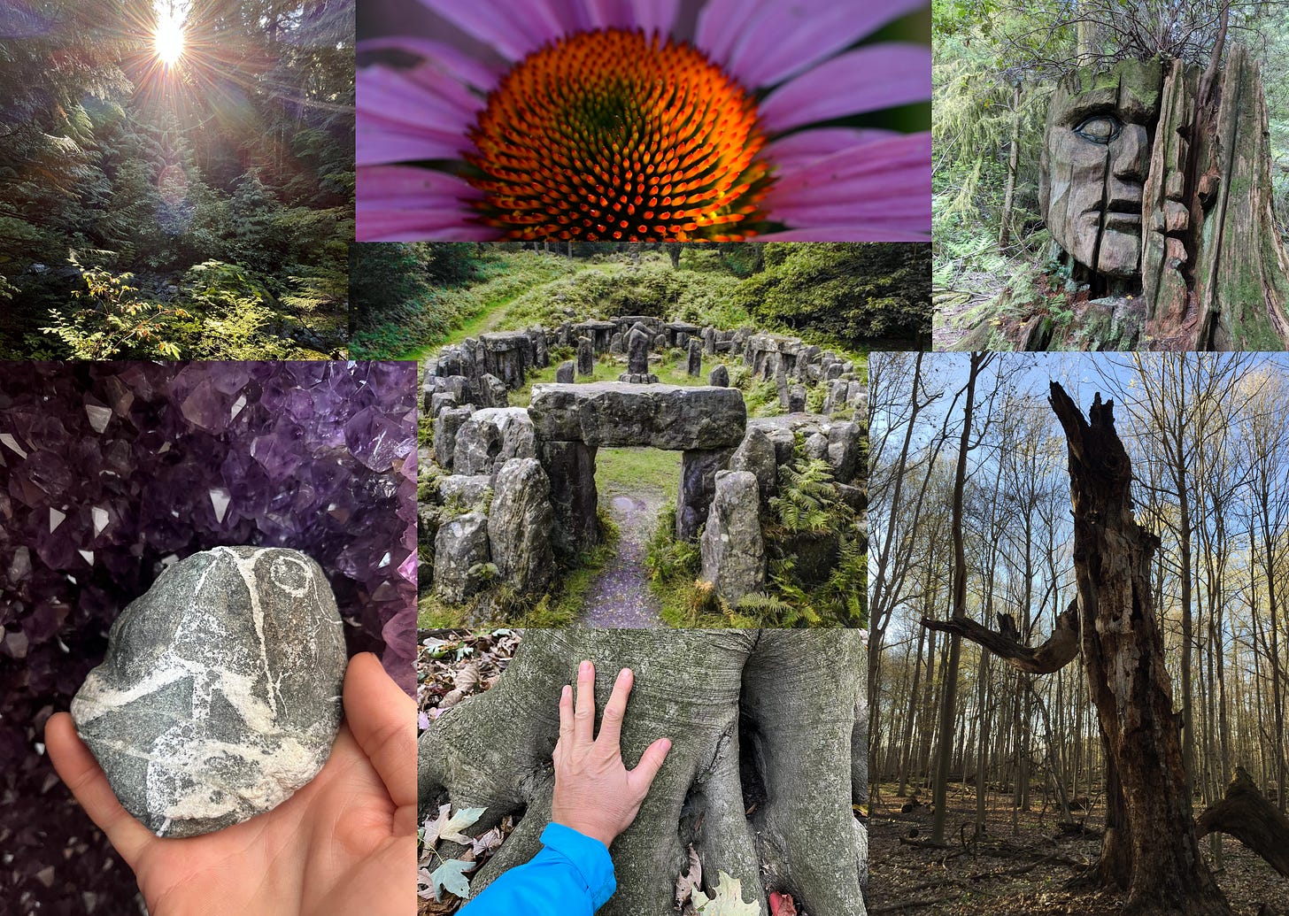 Applied Animism : Rooting Culture, Earth and Spirit 