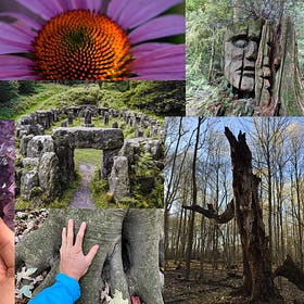 Applied Animism : Rooting Culture, Earth and Spirit 
