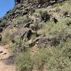 ID Music Live from Taos Mesa