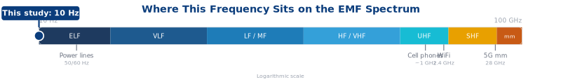 Newsletter image - Inline 1