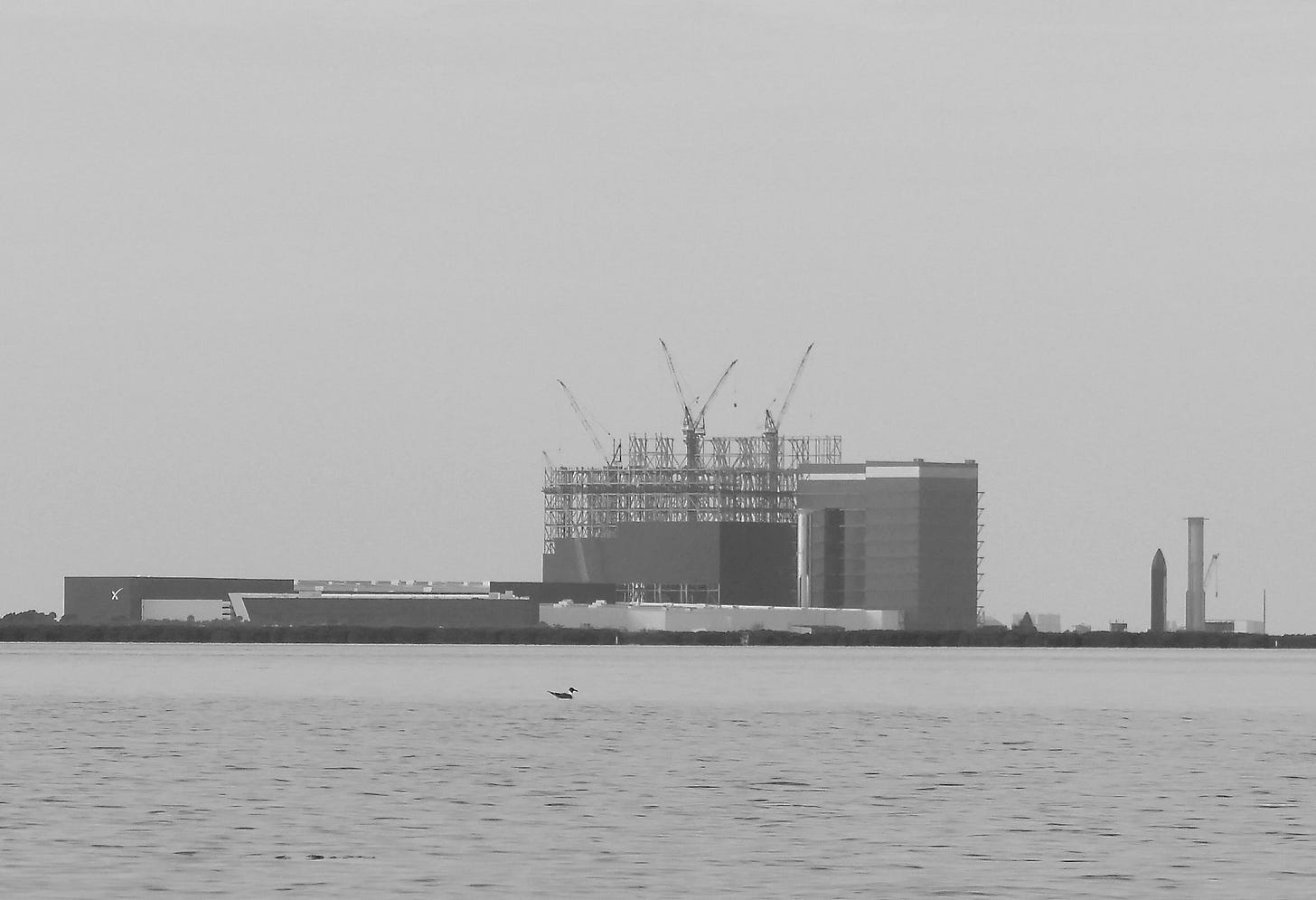 SpaceX Starbase across South Bay; tern in foreground SpaceX Starbase across South Bay; tern in foreground