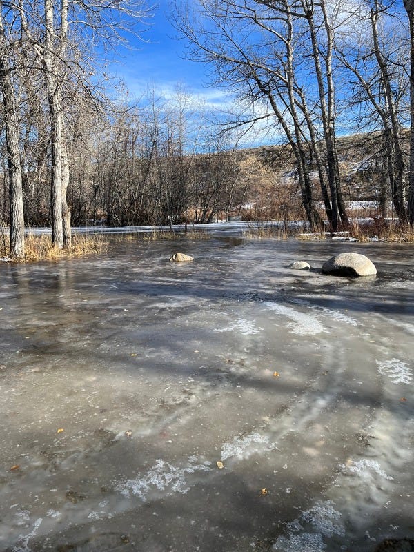 Rosebud Isle FAS is flooded and access is restricted. Rosebud Isle FAS is flooded and access is restricted.