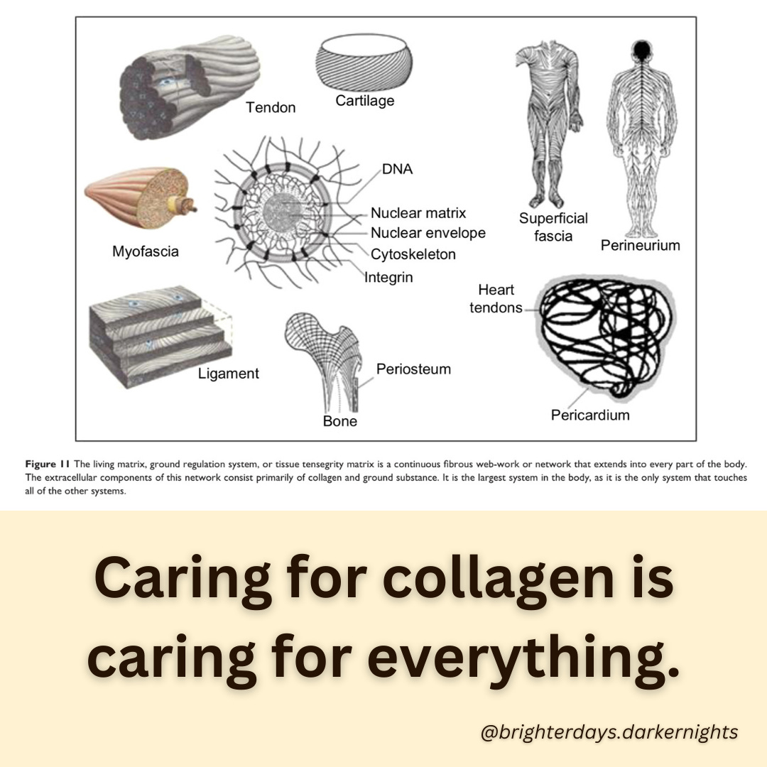 3rd batch - 28.png 3rd batch - 28.png