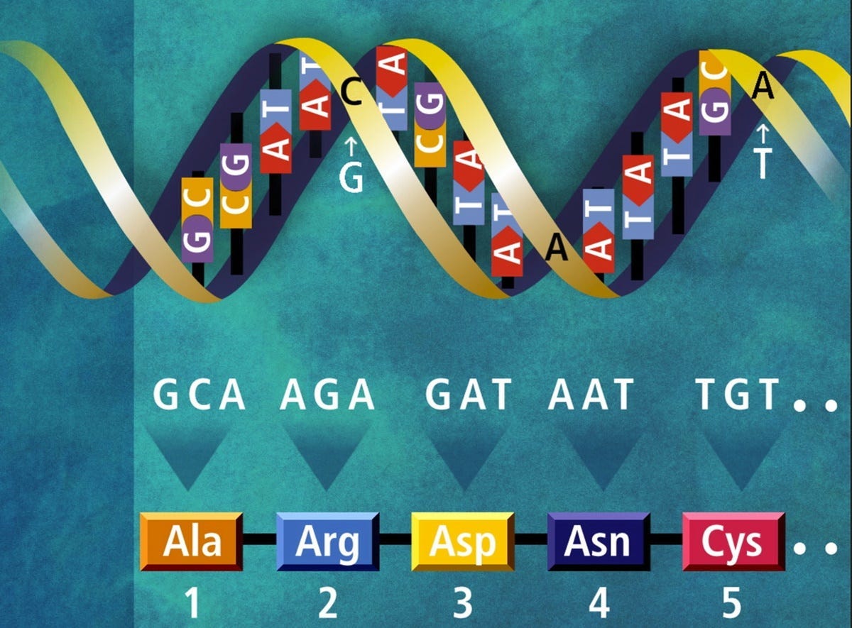 U.S. Department of Energy Human Genome Program, Public domain, via Wikimedia Commons