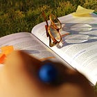 DIY Curriculum: Teach Yourself Anything