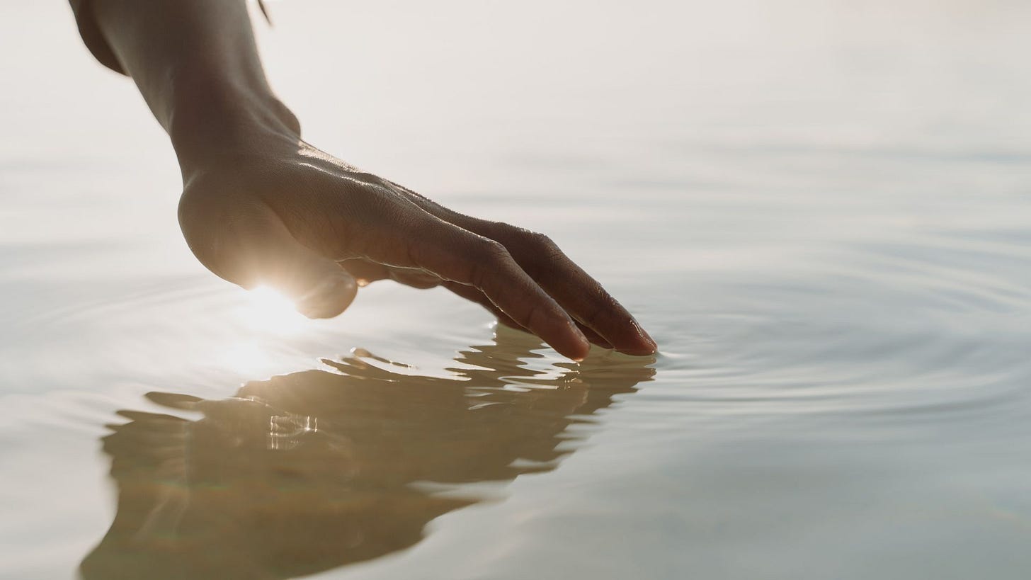 Take A Pause: The Five Remembrances