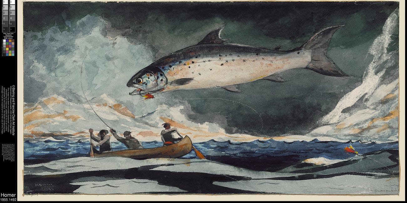 Every salmon needs an umbrella