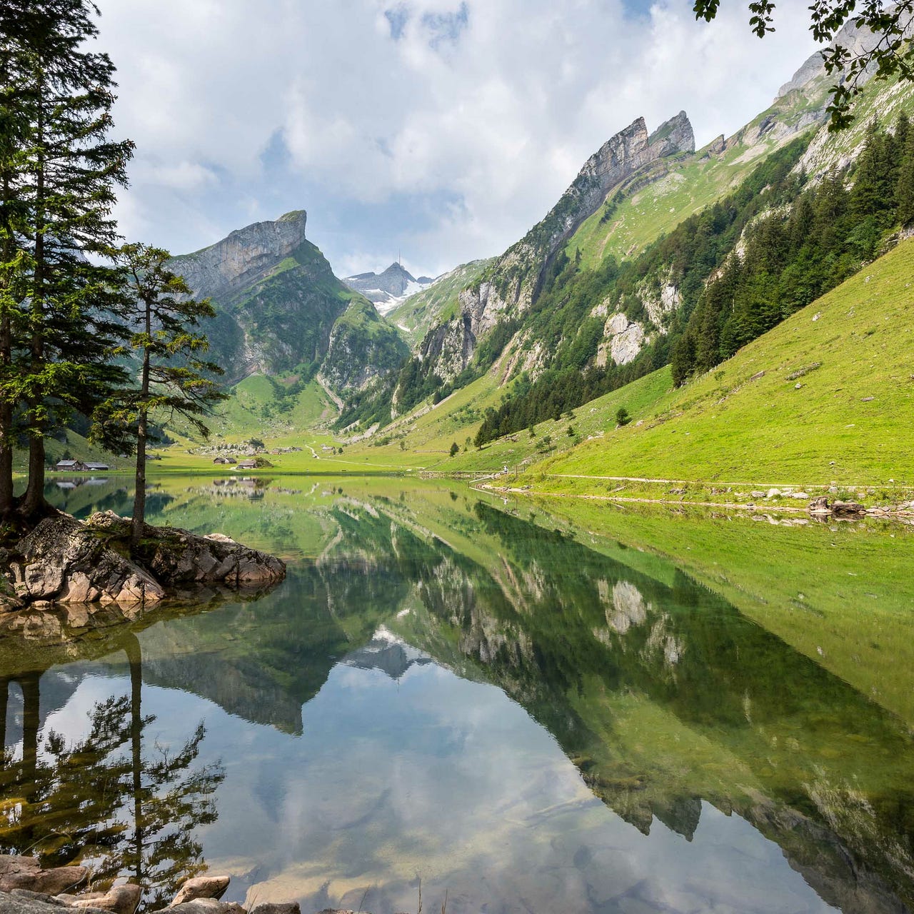 Maxwell’s Substack