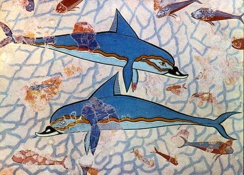 dolphins