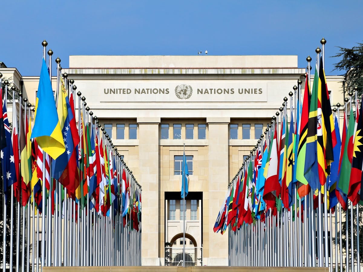6000 United Nations