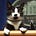 Bobbie Savitz's avatar