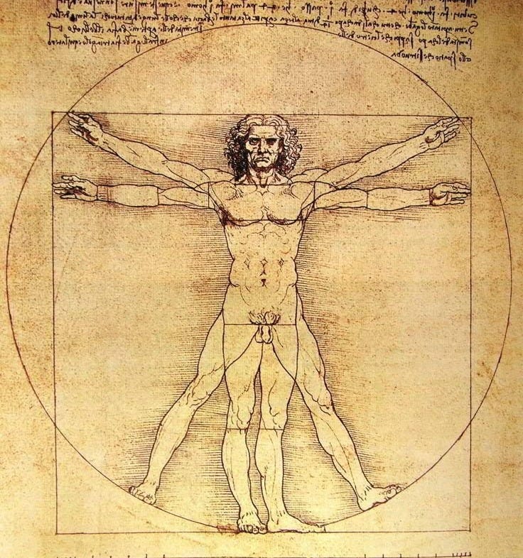 This may contain: a drawing of the vitruon man with his hands and feet spread out