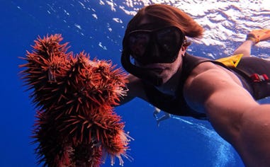 Photo of Bev's grandson underwater, wearing a snorkel, holding a starfish