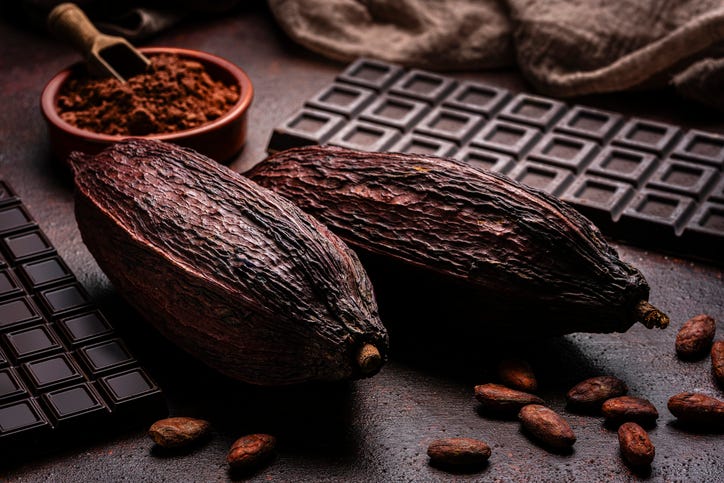 Two dried cocoa pods placed on a rustic surface, surrounded by cocoa beans, dark chocolate bars, and a bowl of cocoa powder with a wooden scoop in the background.
