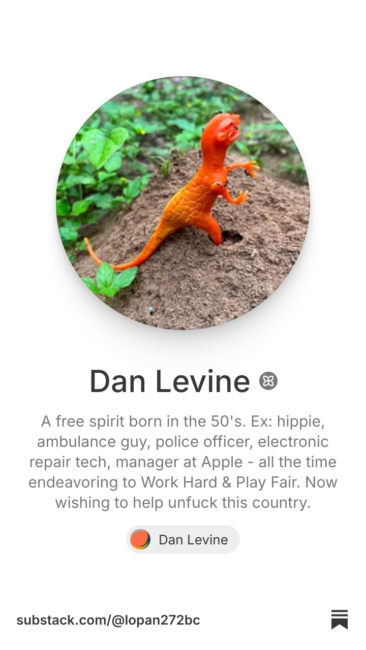 Dan Levine | Substack