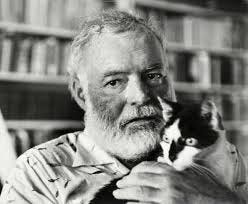 Los Gatos De Hemingway | Hospital Felino Madrid