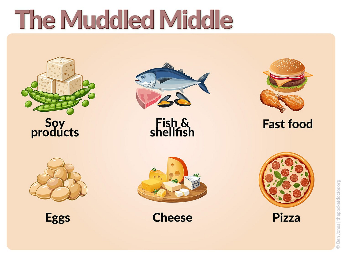 Infographic titled ‘The Muddled Middle’ showing foods ranked mid-range in a Harvard study of diet and healthy ageing, including fish and shellfish, pizza, potatoes, high-fat dairy, and fast foods, with notes that preparation methods and eating context explain their position. Infographic titled ‘The Muddled Middle’ showing foods ranked mid-range in a Harvard study of diet and healthy ageing, including fish and shellfish, pizza, potatoes, high-fat dairy, and fast foods, with notes that preparation methods and eating context explain their position.