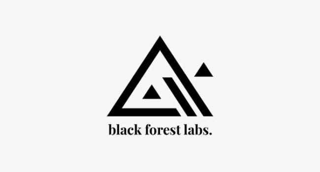 Meta Concludes a $140 Million Deal with German AI Startup Black Forest Labs  | NEWS.am TECH - Innovations and science