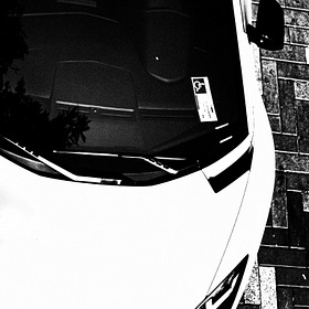 even gazelles have bigger legs