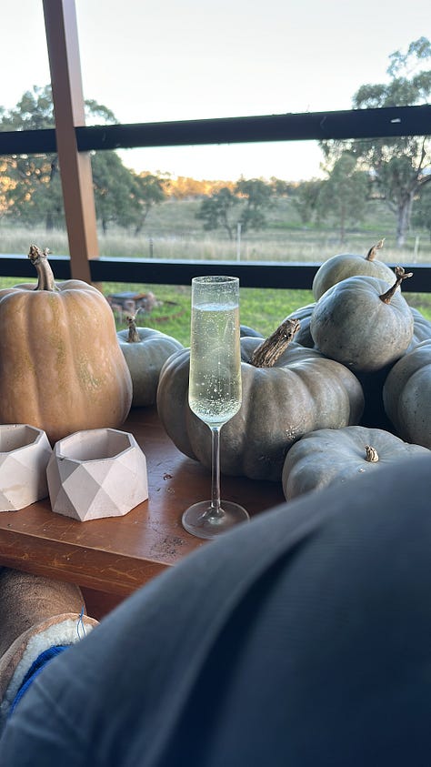 Some beautiful rainbows and sunsets in the valley, some quality winding down time with the pumpkins and the poor pumpkin that grew through the fence and needed to be surgically removed 🥹