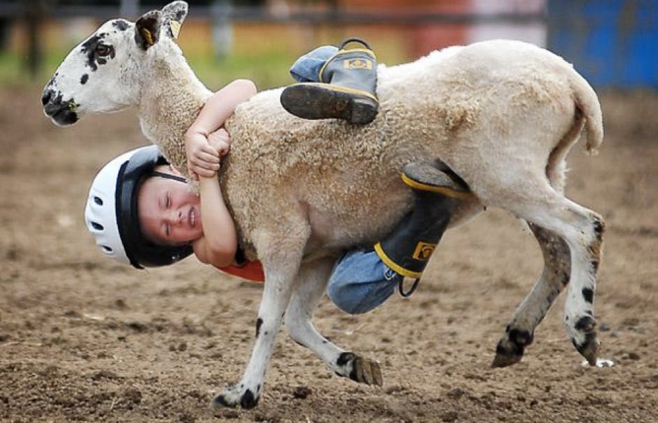 goat rodeo - Dictionary.com