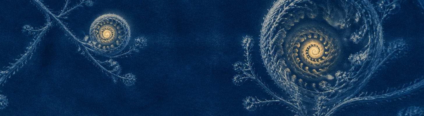 Two cyanotype fern coils: one contracted, one armored and enlarged.