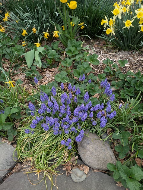 Spring has sprung!