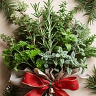 15. Stay gentle this Christmas