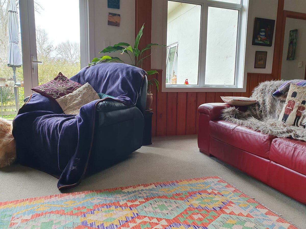 The Rosella at the window looking in. Wider angle view.