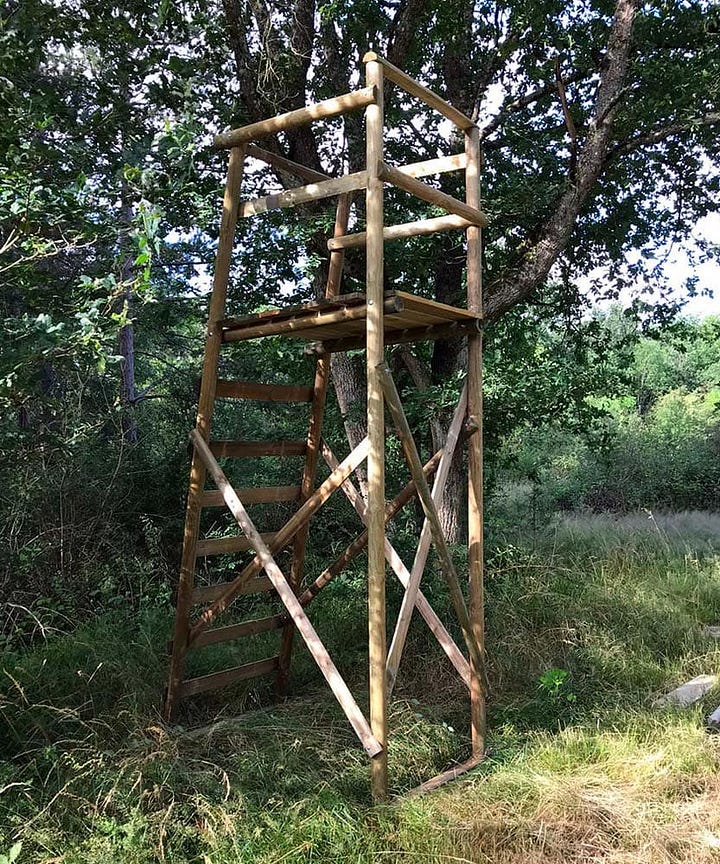 Two wooden hunting towers side by side. On the left, a tall open ladder tower with a small platform, set against a tree. On the right, an enclosed wooden hunting cabin with a sloped roof, raised on stilts with a ladder leading up.