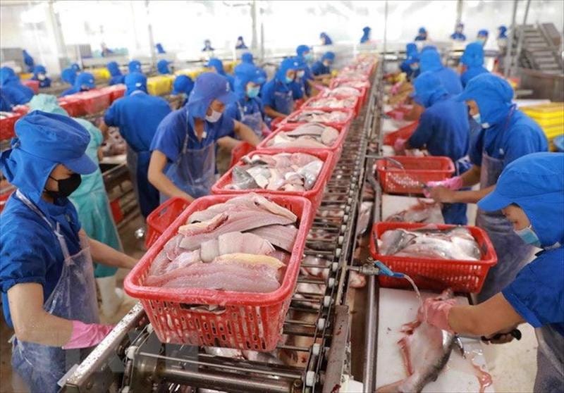 Siết rào cản kỹ thuật, xuất khẩu thủy sản sang Mỹ gia tăng áp lực Siết rào cản kỹ thuật, xuất khẩu thủy sản sang Mỹ gia tăng áp lực