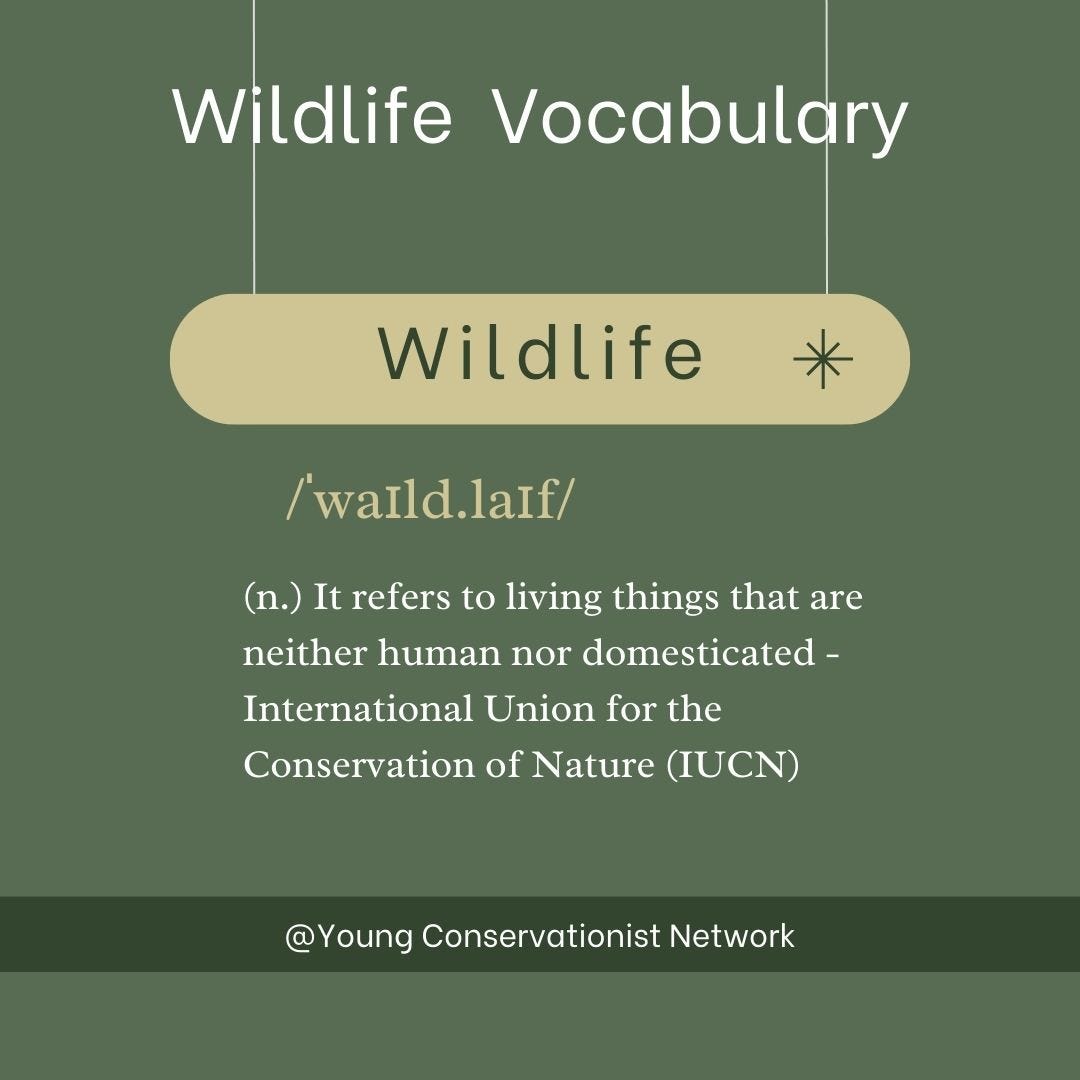 What is Wildlife? - by Young Conservationist Network