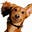 Larry Threewitt's avatar