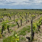 Exploring Bourgueil's Grand Mont