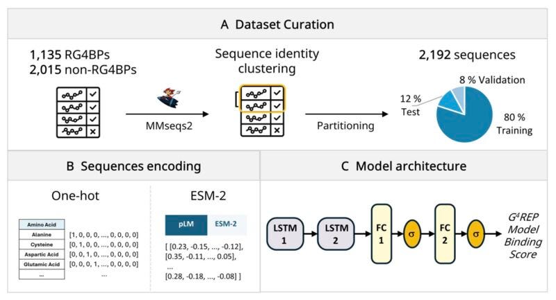 graphical user interface, application