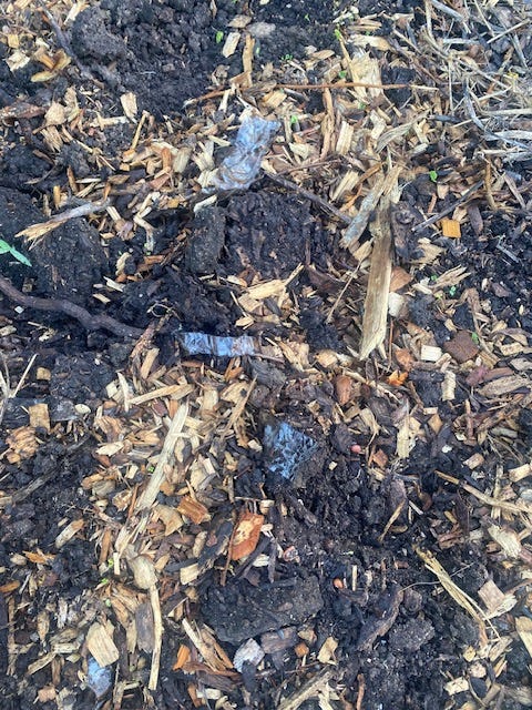 using cardboard for creating garden beds