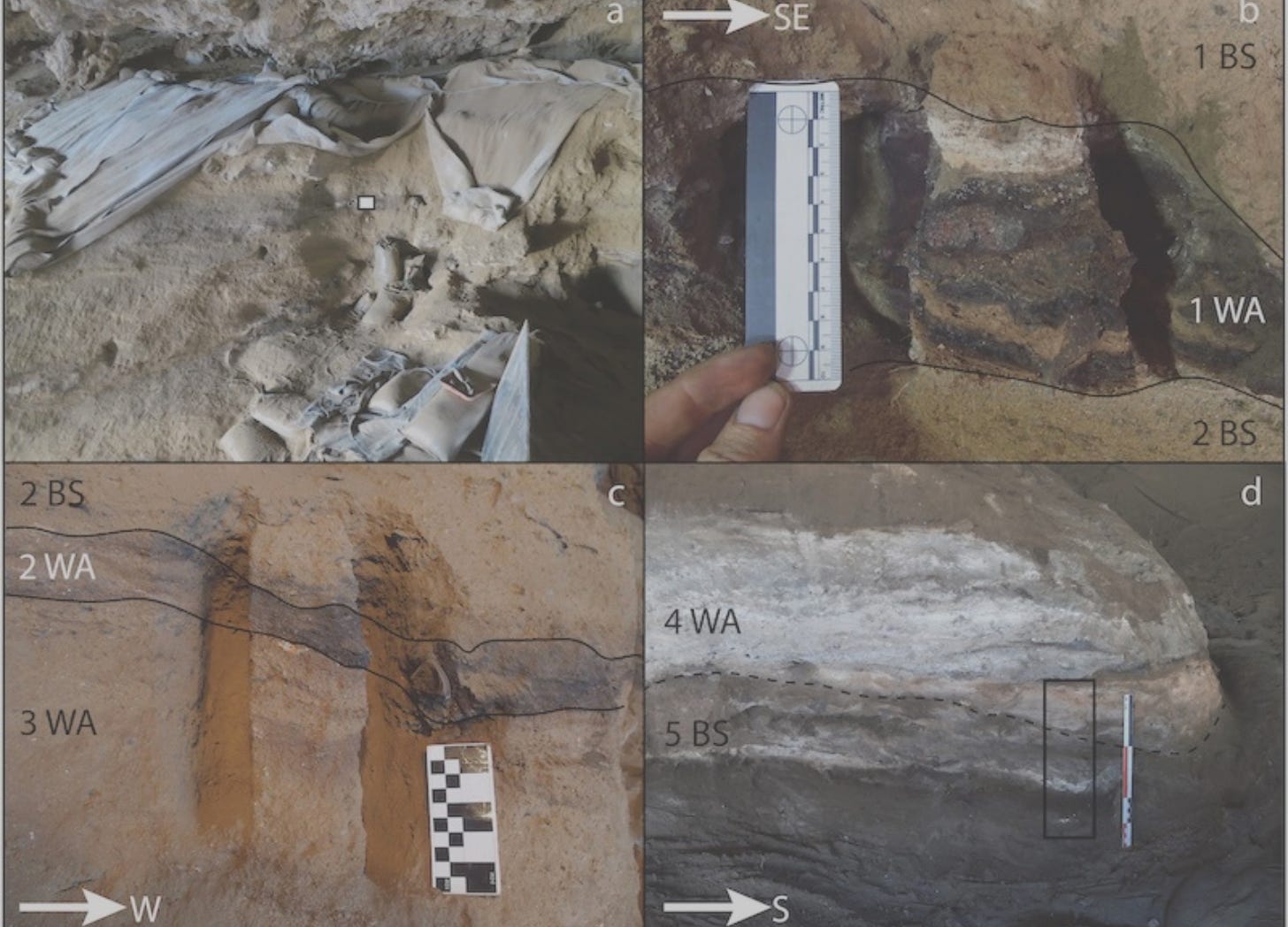 Context of the bedding samples