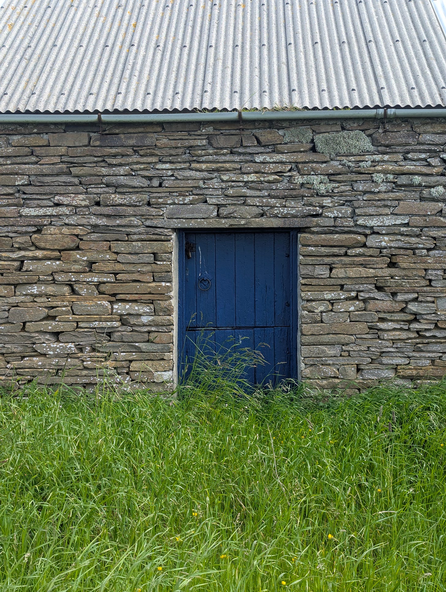 A low, two-part door painted blue in a stone-built structure with a corrugated metal roof.