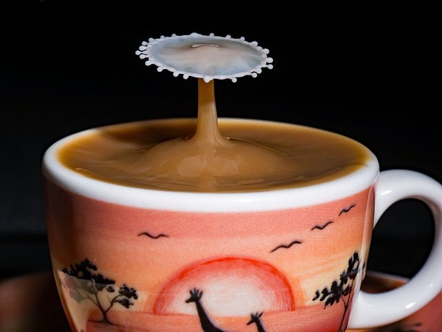 La tasse de café moisi