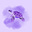 Deirdre Anne's avatar