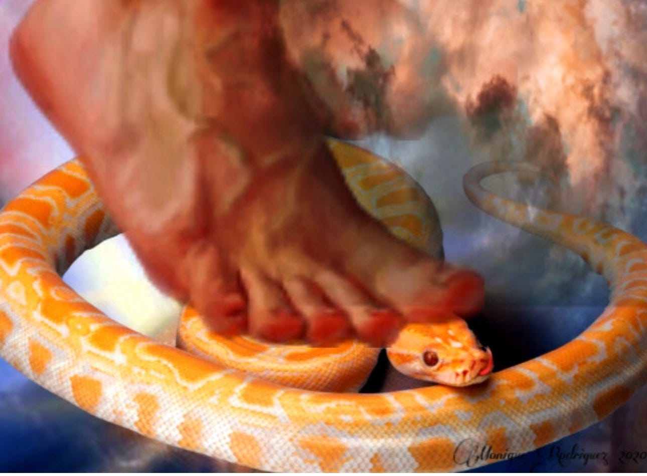 Snake Eden Rome Lessons from Eden: From Shame to Salvation