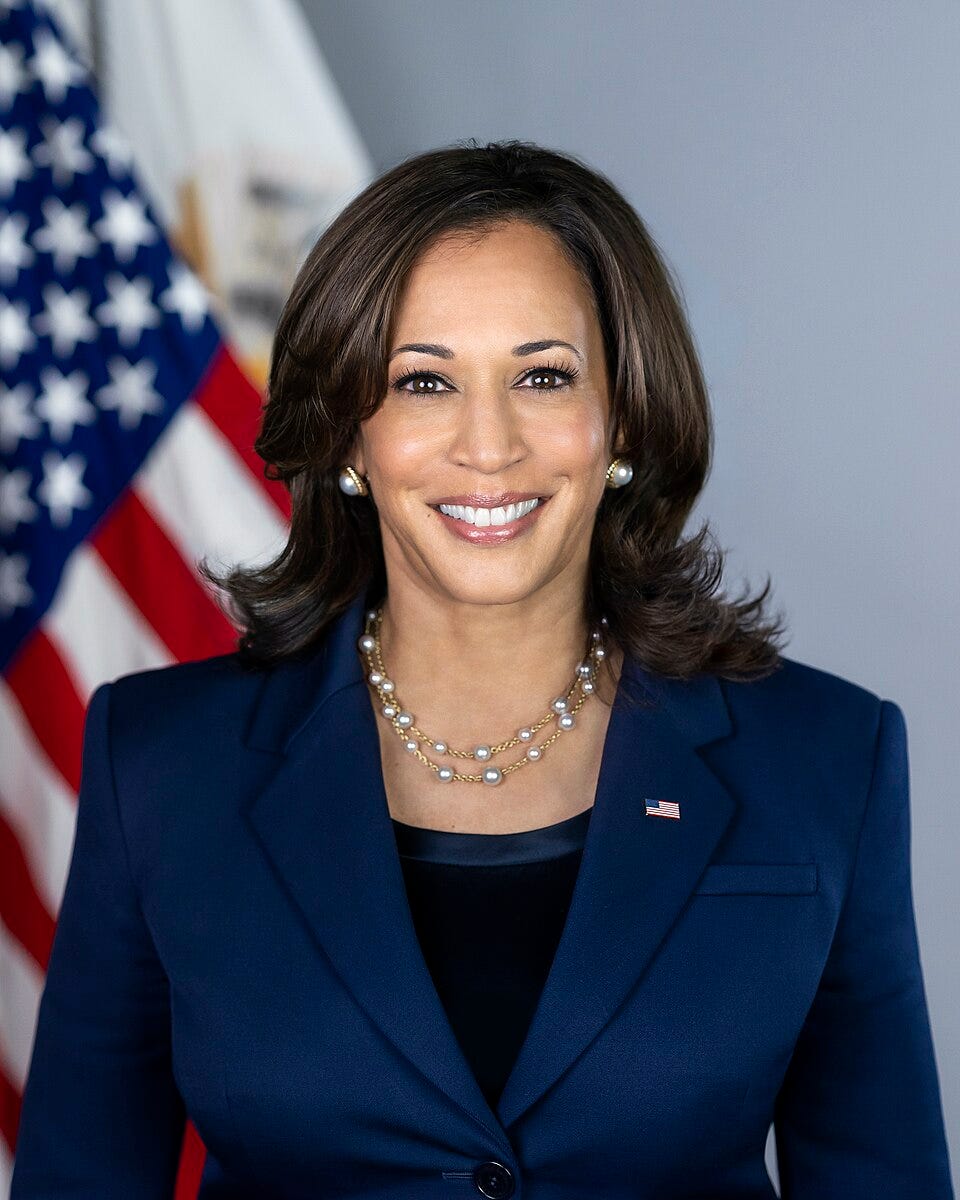 Official vice presidential portrait. Head shot of Harris smiling, wearing an American flag lapel pin and pearl earrings, and dressed formally.