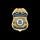 X avatar for @HSI_HQ