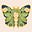 xochii Bessette's avatar